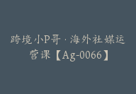 跨境小P哥·海外社媒运营课【Ag-0066】-51搞钱网