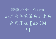 跨境小哥·Facebook广告投放菜鸟到老鸟系列课程【Ab-0045】-51搞钱网