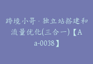 跨境小哥·独立站搭建和流量优化(三合一)【Aa-0038】-51搞钱网