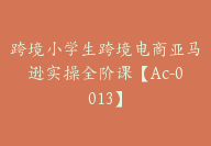 跨境小学生跨境电商亚马逊实操全阶课【Ac-0013】-51搞钱网