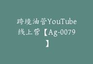 跨境油管YouTube线上营【Ag-0079】-51搞钱网