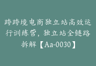 跨跨境电商独立站高效运行训练营，独立站全链路拆解【Aa-0030】-51搞钱网