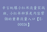 辛言玩爆小红书流量实战班，小红书种草是内容营销的重要流量入口【E-00026】-51搞钱网