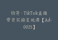 钧哥·TikTok直播带货实操变现课【Ad-0025】-51搞钱网