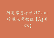 阿亮零基础学习Ozon跨境电商教程【Ag-0028】-51搞钱网