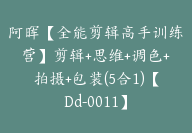 阿晖【全能剪辑高手训练营】剪辑+思维+调色+拍摄+包装(5合1)【Dd-0011】-51搞钱网