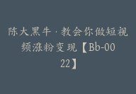 陈大黑牛·教会你做短视频涨粉变现【Bb-0022】-51搞钱网