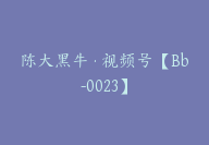 陈大黑牛·视频号【Bb-0023】-51搞钱网