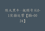 陈大黑牛·视频号从0-1实操运营【Bb-0024】-51搞钱网