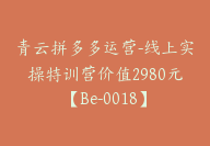 青云拼多多运营-线上实操特训营价值2980元【Be-0018】-51搞钱网