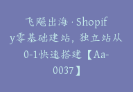 飞飚出海·Shopify零基础建站，独立站从0-1快速搭建【Aa-0037】-51搞钱网