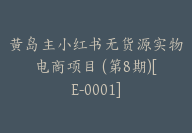 黄岛主小红书无货源实物电商项目 (第8期)[E-0001]-51搞钱网