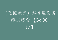 （飞橙教育）抖音运营实操训练营 【Bc-0017】-51搞钱网