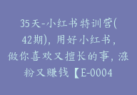 35天-小红书特训营(42期)，用好小红书，做你喜欢又擅长的事，涨粉又赚钱【E-00045】-51搞钱网