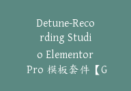 Detune-Recording Studio Elementor Pro 模板套件【G-0043】-51搞钱网