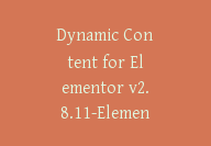 Dynamic Content for Elementor v2.8.11-Elementor的最高级小工具【G-0046】-51搞钱网