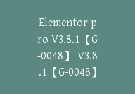 Elementor pro V3.8.1【G-0048】 V3.8.1【G-0048】-51搞钱网