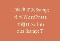 IT解决方案&技术WordPress主题IT Solutions & Technology WordPress【I-0017】-51搞钱网