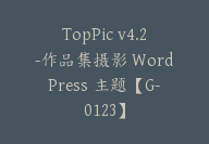 TopPic v4.2-作品集摄影 WordPress 主题【G-0123】-51搞钱网