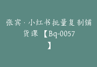 张宾·小红书批量复制铺货课 【Bq-0057】-51搞钱网