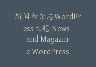 新闻和杂志WordPress主题 News and Magazine WordPress Theme【I-0032】-51搞钱网