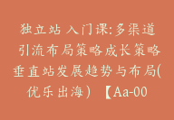 独立站 入门课:多渠道 引流布局策略成长策略垂直站发展趋势与布局(优乐出海）【Aa-0045】-51搞钱网