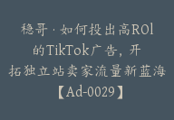 稳哥·如何投出高ROl的TikTok广告，开拓独立站卖家流量新蓝海【Ad-0029】-51搞钱网