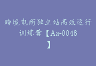 跨境电商独立站高效运行训练营【Aa-0048】-51搞钱网