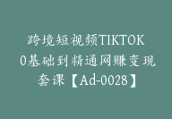 跨境短视频TIKTOK 0基础到精通网赚变现套课【Ad-0028】-51搞钱网