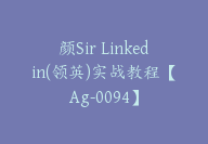 颜Sir Linkedin(领英)实战教程【Ag-0094】-51搞钱网