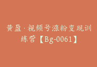 黄盈·视频号涨粉变现训练营【Bg-0061】-51搞钱网