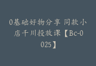 0基础好物分享 同款小店千川投放课【Bc-0025】-51搞钱网