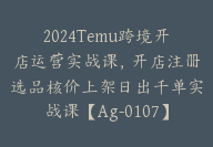 2024Temu跨境开店运营实战课，开店注册选品核价上架日出千单实战课【Ag-0107】-51搞钱网