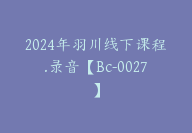 2024年羽川线下课程.录音【Bc-0027】-51搞钱网