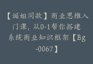 【诞姐同款】商业思维入门课，从0-1帮你搭建系统商业知识框架【Bg-0067】-51搞钱网