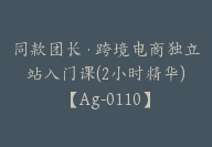 同款团长·跨境电商独立站入门课(2小时精华)【Ag-0110】-51搞钱网