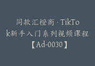 同款汇橙商·TikTok新手入门系列视频课程【Ad-0030】-51搞钱网