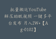 批量搬运YouTube解压助眠视频 一键多平台发布 月入2W+【Ag-0102】-51搞钱网