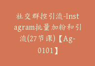 社交群控引流-Instagram批量加粉和引流(27节课)【Ag-0101】-51搞钱网