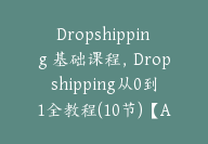 Dropshipping 基础课程，Dropshipping从0到1全教程(10节)【Ag-0114】-51搞钱网