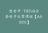 唐老师·TikTok全套账号运营课程【Ad-0031】-51搞钱网