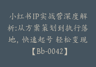 小红书IP实战营深度解析:从方案策划到执行落地，快速起号 轻松变现【Bb-0042】-51搞钱网