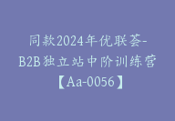 同款2024年优联荟-B2B独立站中阶训练营【Aa-0056】-51搞钱网