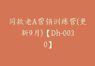 同款老A营销训练营(更新9月)【Dh-0030】-51搞钱网