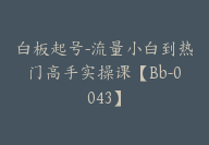 白板起号-流量小白到热门高手实操课【Bb-0043】-51搞钱网