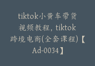 tiktok小黄车带货视频教程，tiktok跨境电商(全套课程)【Ad-0034】-51搞钱网