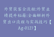 外贸获客全流程:外贸业绩提升秘籍:全面解析外贸出口流程与实战技巧【Ag-0127】-51搞钱网