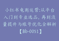 小红书电商运营:从平台入门到专业选品，再到流量提升与账号优化全解析【Bb-0051】-51搞钱网