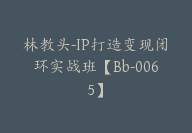 林教头-IP打造变现闭环实战班【Bb-0065】-51搞钱网