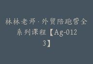 林林老师·外贸陪跑营全系列课程【Ag-0123】-51搞钱网